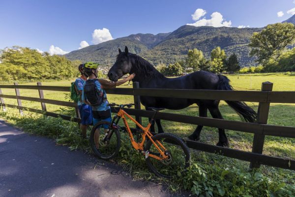 ilsentierovaltellina-località-albosaggia65433E33-04BA-10FB-EEC0-0CE112055A2D.jpg