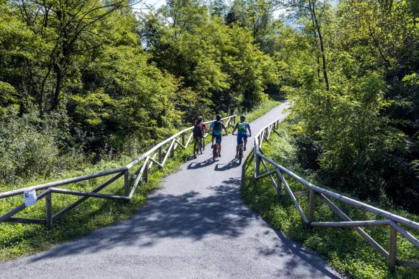 ilsentierovaltellinainmtb-comunitàmontanadisondrioA1C58E98-A3CD-211B-1105-E73A3518DD2C.jpg
